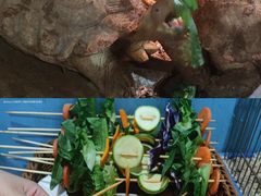 -上海大自然野生昆虫馆