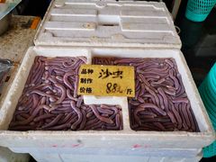 沙虫-大门水乡·顺德菜