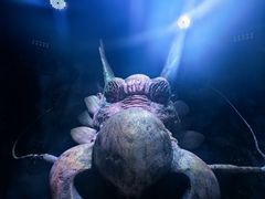 -X先生·MRX沉浸密室(厦门双子塔海景店)