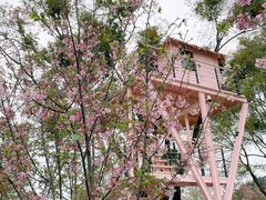 -福建鲤鱼洲酒店