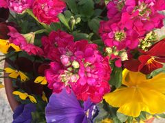 -七的湖·晚芳亭·阳澄湖农家菜·大闸蟹(莲花岛店)