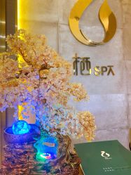 -栖SPA·ONDA ·海菲秀·皑皑科技美肤中心