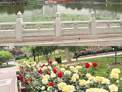 -西海子公园