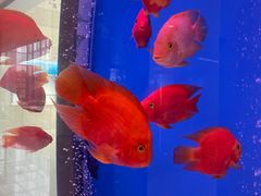 -江苏省人民医院(广州路院区)