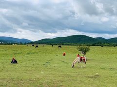 -吉达姆草原旅游风景区