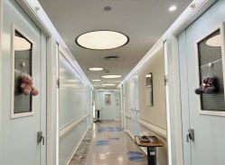 -杭州贝瑞斯美华妇儿医院·早孕·产检·儿科