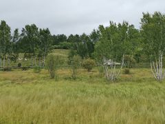 -塞罕坝国家级自然保护区