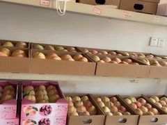 -南汇新场正宗水蜜桃采摘