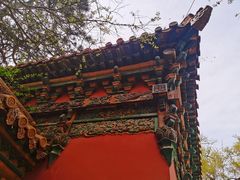 -北陵公园