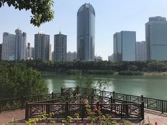 -万绿园