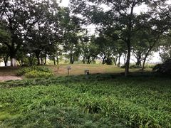 -白塘生态植物园