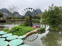 -靖西鹅泉风景区