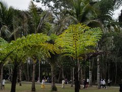 -中国科学院西双版纳热带植物园