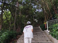 -白云山风景名胜区