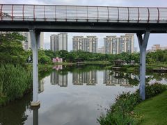-王借岗森林公园
