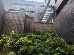 -香港大学