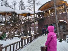 -横道河子东北虎林园