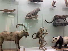 -国家自然博物馆