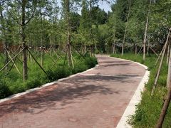 -林栖谷森林康养度假区