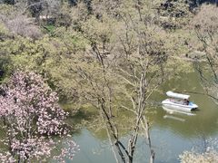 -惠山国家森林公园