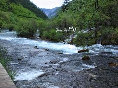 -九寨沟-树正沟