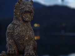 -杭州半山国家森林公园