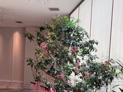 -双湖宴·湖北菜(文化路店)