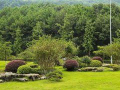 -铁山坪森林公园