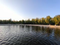 -莲花池公园