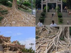 -青礁慈济宫