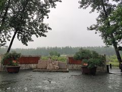 -合肥滨湖国家森林公园