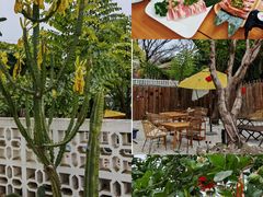 -三圣花乡旅游区