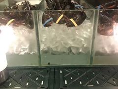 -香港尖沙咀凯悦酒店