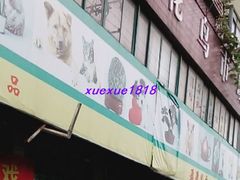 -本溪路花鸟市场(江浦路1709弄小区店)