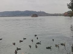 -西湖游船