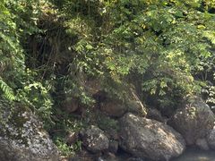 -崇州九龙峡漂流