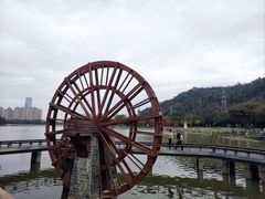 -顺峰山公园