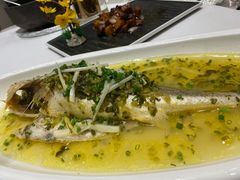 清蒸大黄鱼-高老庄新家宴(北斗星广场店)