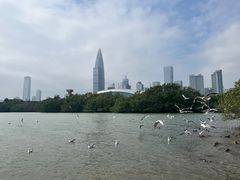 -深圳湾公园(南山区)