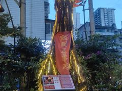 -黔凤辣子鸡
