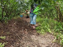 -金谷域澳洲庄园