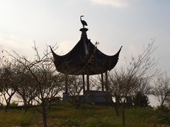 -香雪海