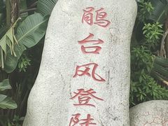 -广东惠东海龟国家级自然保护区