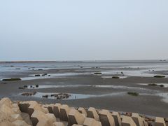 -奉贤海滩