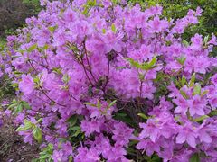 -长春市南湖公园