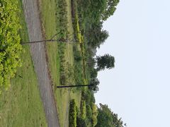 景点-南沙蒲洲花园