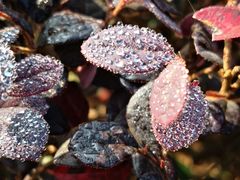 -白塘生态植物园