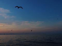 -星海广场