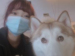 -Husky Go! 哈士奇体验馆·宠物咖啡厅狗咖