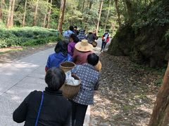 -龙井村